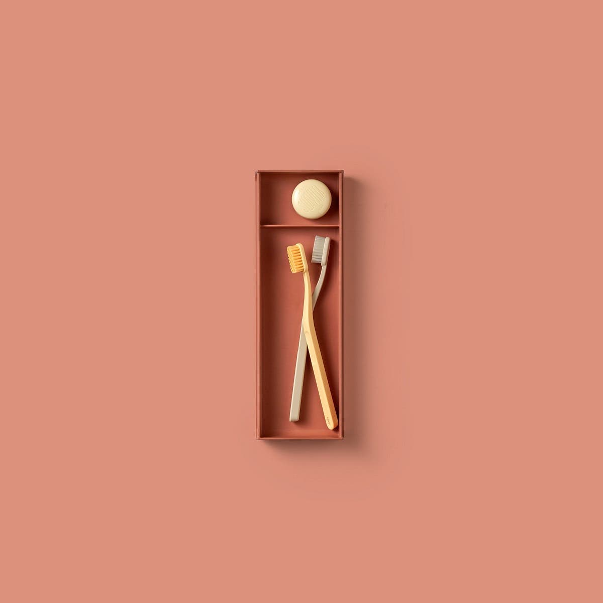 Tray A3.24 CORAL